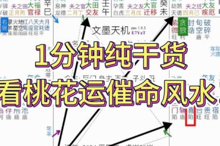 紫薇斗数看贵气