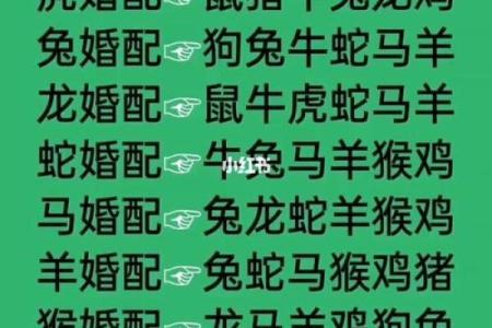 1991年属什么生肖配对女 1991年属什么生肖配对最好命