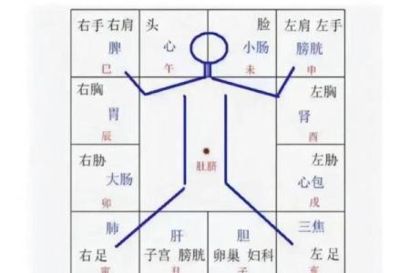 紫薇斗数怎么看考试