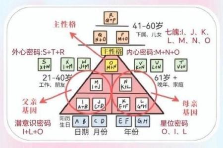 生命灵数5和几配对