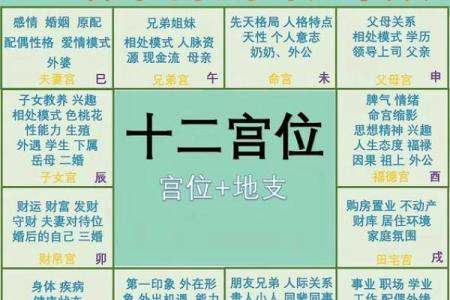 紫微斗数诸星落诸宫之：天府星兄弟宫详解