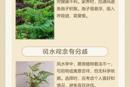 找了好风水，为什么还是会倒霉