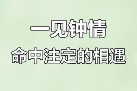 缘分是天注定姓名配对 缘份真的是天注定的-？