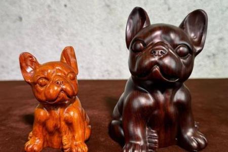 以下品种什么样的狗旺财风水