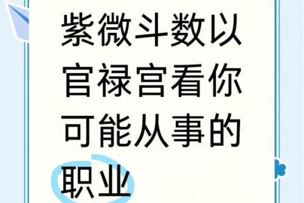 文教法律紫薇斗数