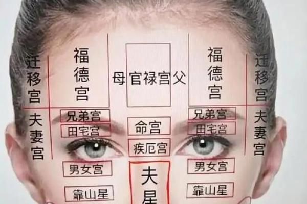 面相算命图解十二宫之：兄弟宫