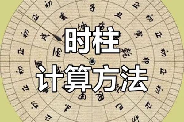 酉时八字