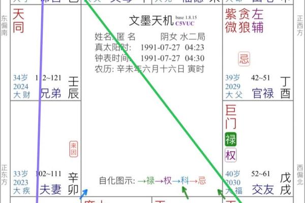 紫薇斗数看财运格局