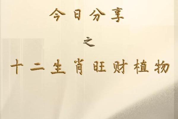 十二生肖配对 揭秘十二生肖旺财养对旺财宠物