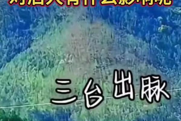 祖坟风水对后人有什么影响