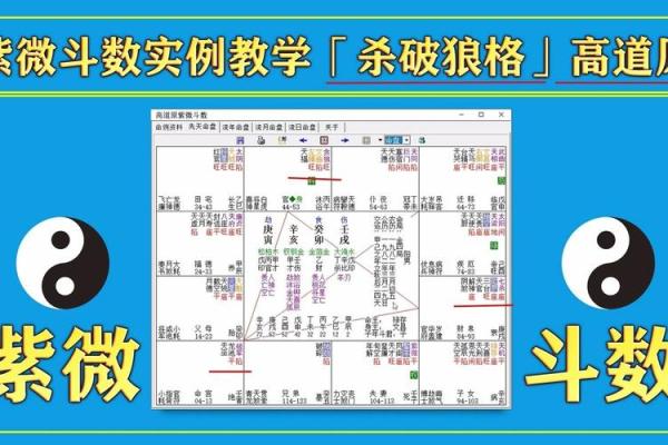高道原紫微斗数实战网盘 高道原紫微斗数培训班？