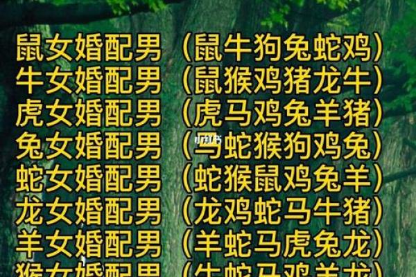 十二生肖婚配大全表 12生肖婚姻最佳配对表图片