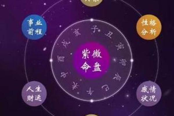 紫薇斗数旺衰