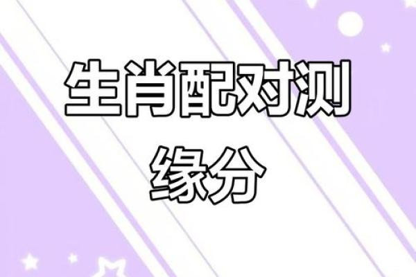 注定成为敌人的属相配对