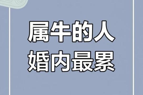 牛和牛相配婚姻如何 牛牛婚姻配对好不好