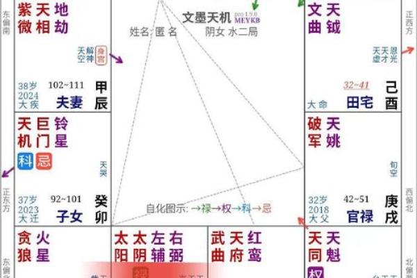 紫薇斗数壬干格局