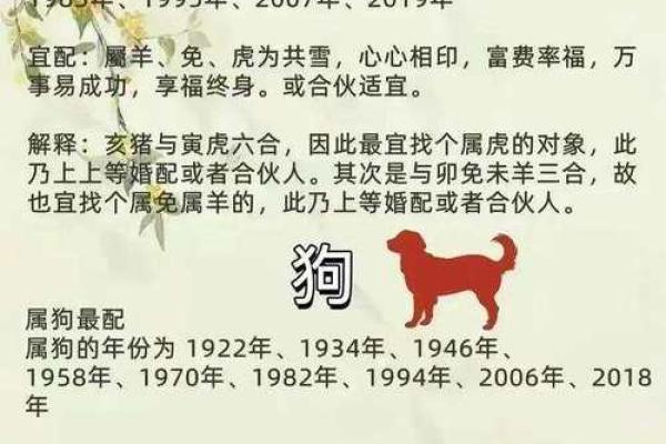 1996年属什么生肖配对