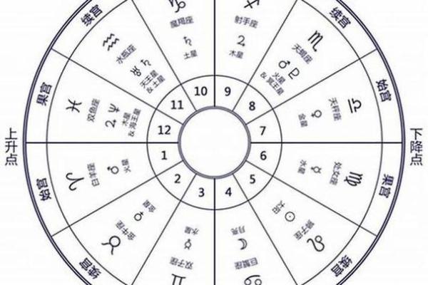 紫薇斗数八座