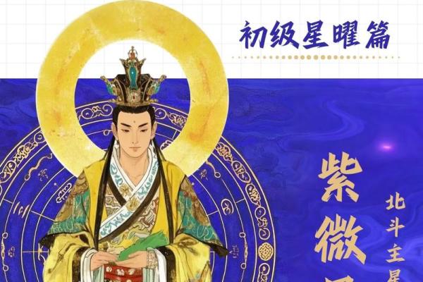 紫薇斗数八座