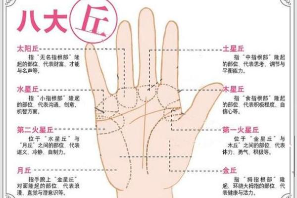 手相图解大全女右手算命 看手相算命图解女性右手