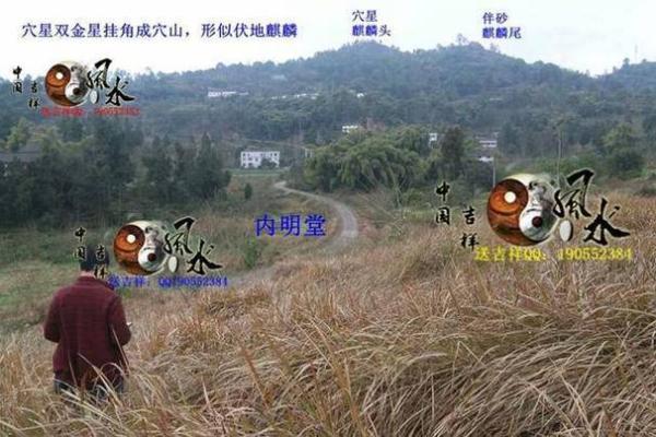 解析土葬与骨灰葬墓地风水讲究