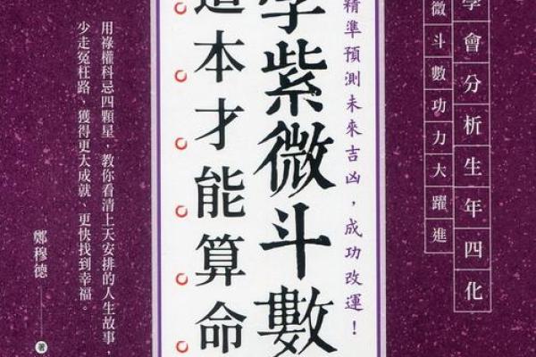 高人汇紫薇斗数