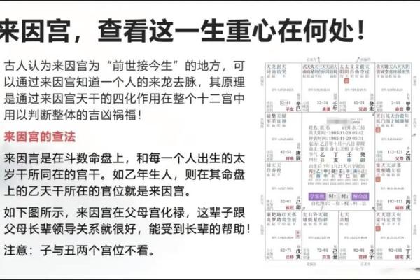 精通紫薇斗数