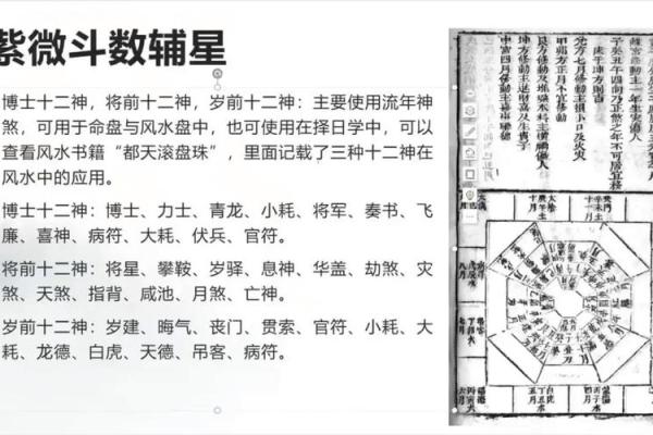 红鸾紫薇斗数