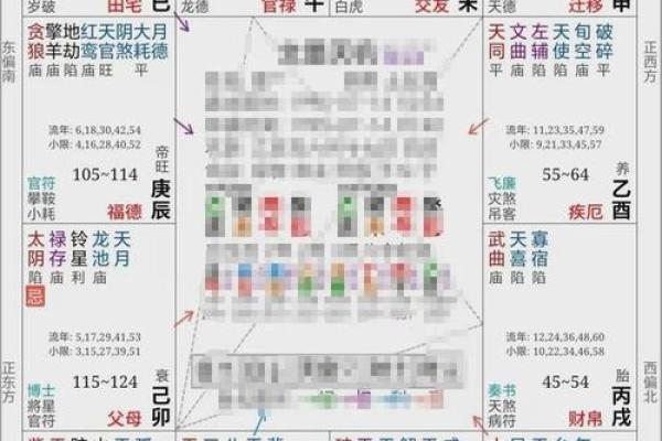 紫薇斗数配偶财富