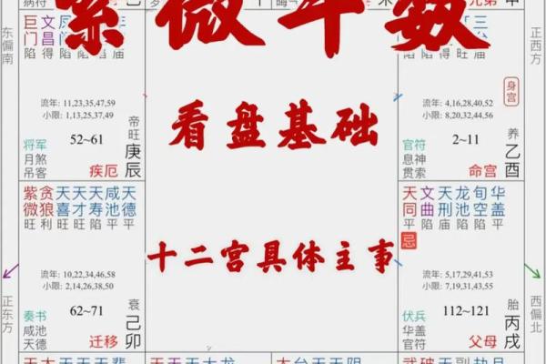 紫薇斗数迁移宫紫微