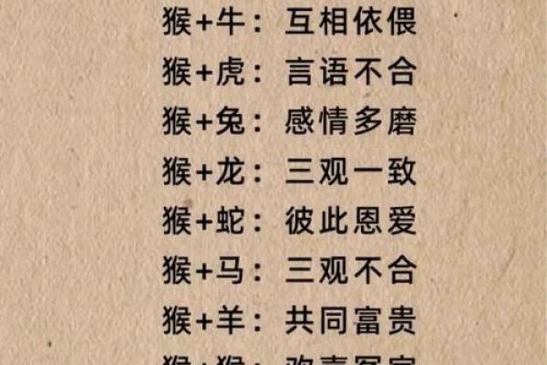 属鼠人招姻缘 属鼠姻缘在哪个方位？