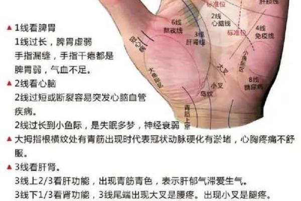 图解：手相上升线算命
