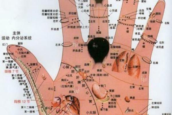 图解：手相上升线算命