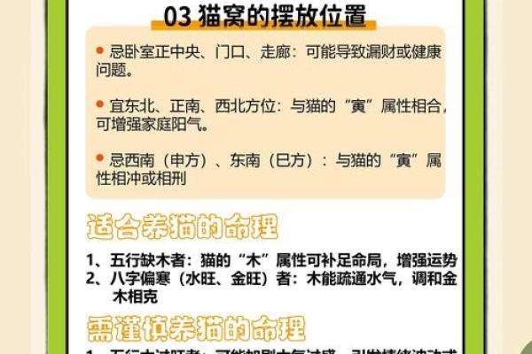 什么房子养猫更好风水好的