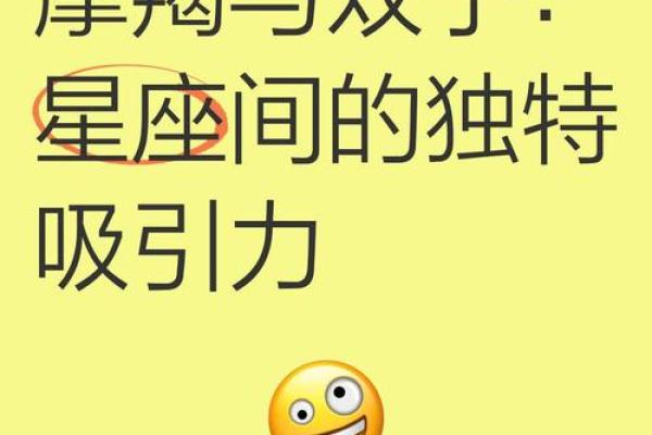 摩羯女和双子男配对指数是多少 摩羯女和双子男适合在一起吗
