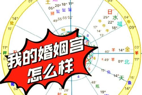 紫薇星盘怎么看姻缘