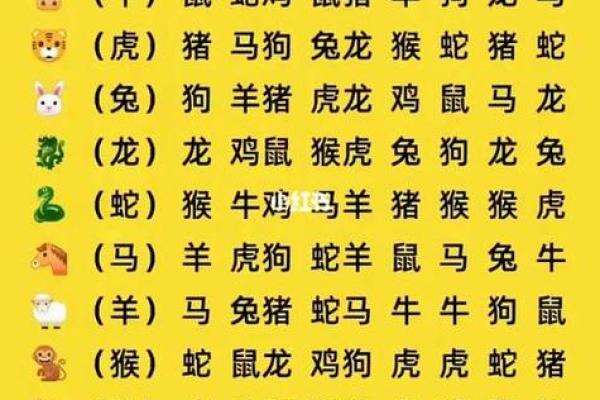 属相配对父子相冲