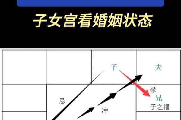 杨紫紫薇斗数