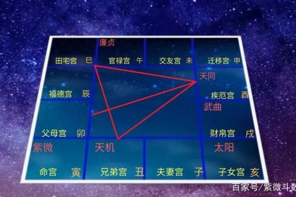 紫薇斗数宫主