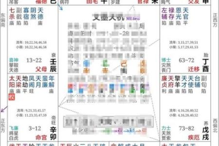 紫薇斗数看财运格局