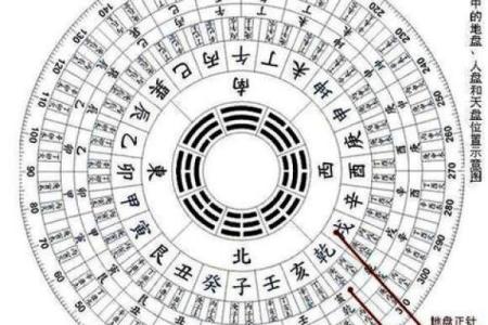 紫薇星盘看天盘还是地盘
