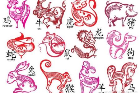 今天生肖运势财富方位