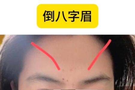 八字眉的男人面相图解 倒八字眉有何区别