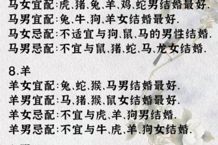 女牛男兔生肖配对姻缘 女牛男兔相配婚姻会怎么样？