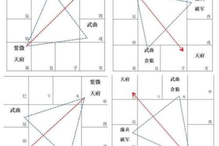 紫微斗数之福德宫与诸星，天相星在福德宫是什么意思？