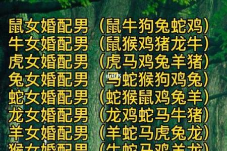 十二生肖婚配大全表 12生肖婚姻最佳配对表图片