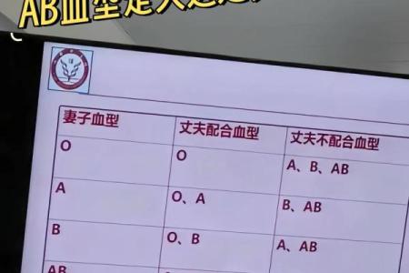 血型b+和b-是什么意思