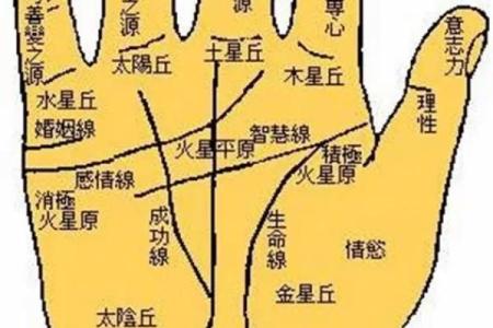 手线算命