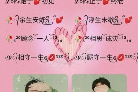 寻找有情人姓名配对 寻找有情人的诗句？