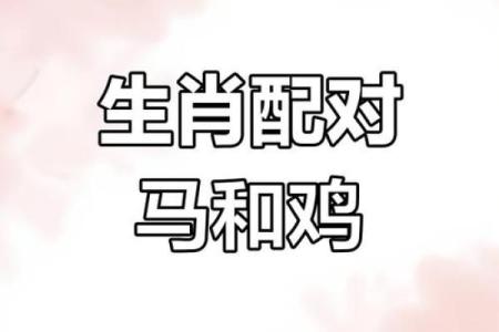 鸡马生肖配对指数 鸡和马属相婚配指数